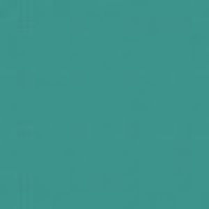 Meet your Posher, Sophia